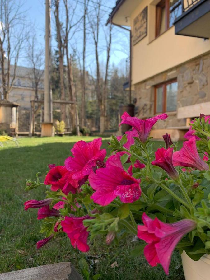 Willa Wysoka Zakopane Kültér fotó